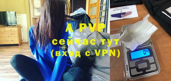 спиды Верея